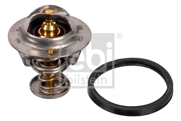 Thermostat, coolant